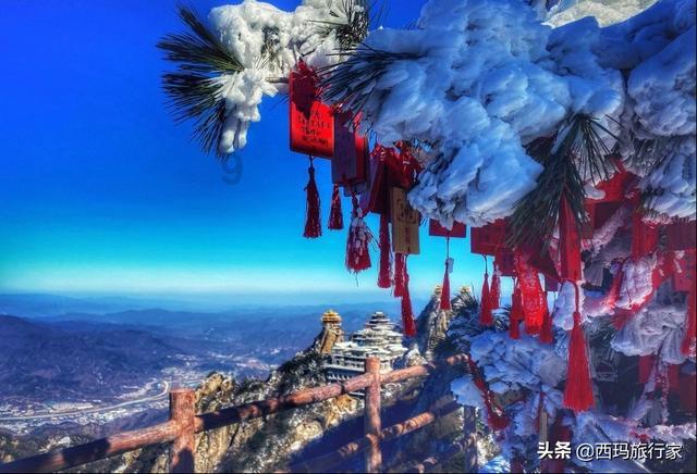 理财专员