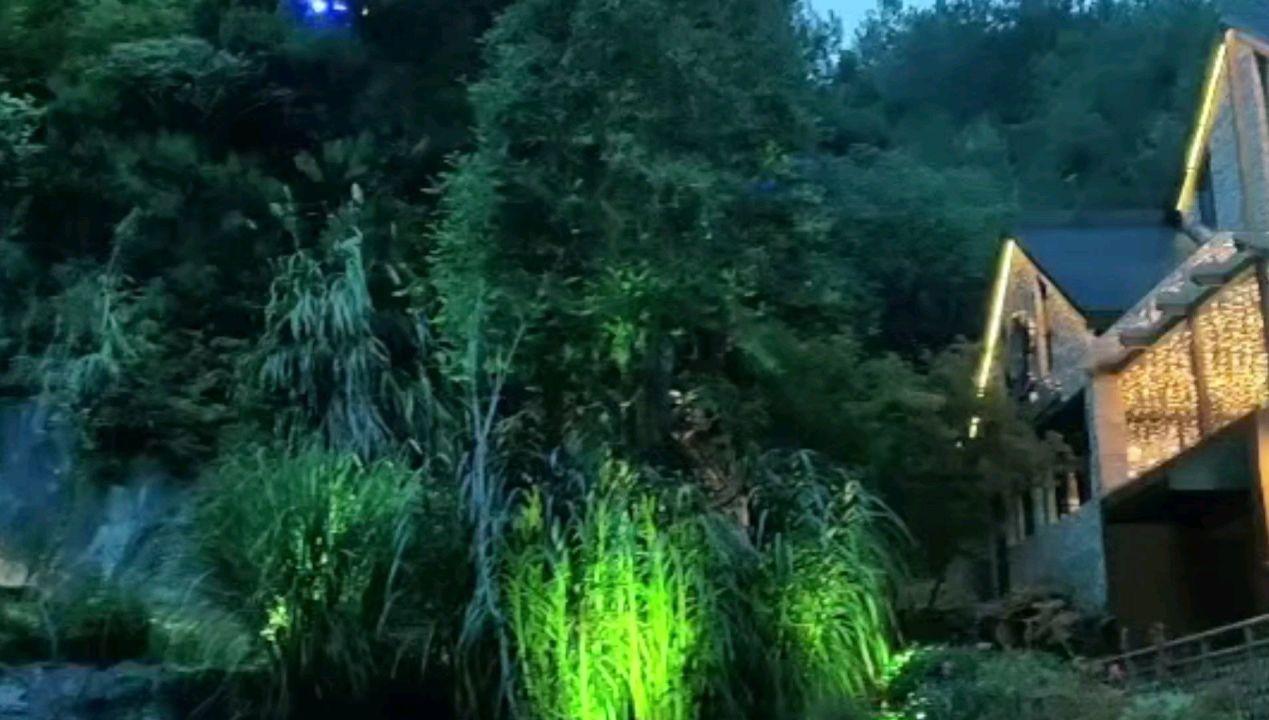 *ST紫鑫及原实际控制人被立案,受损股民可联系索赔